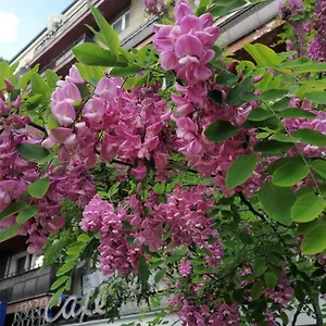 https://pulawska-53.warsawhotelspoland.com